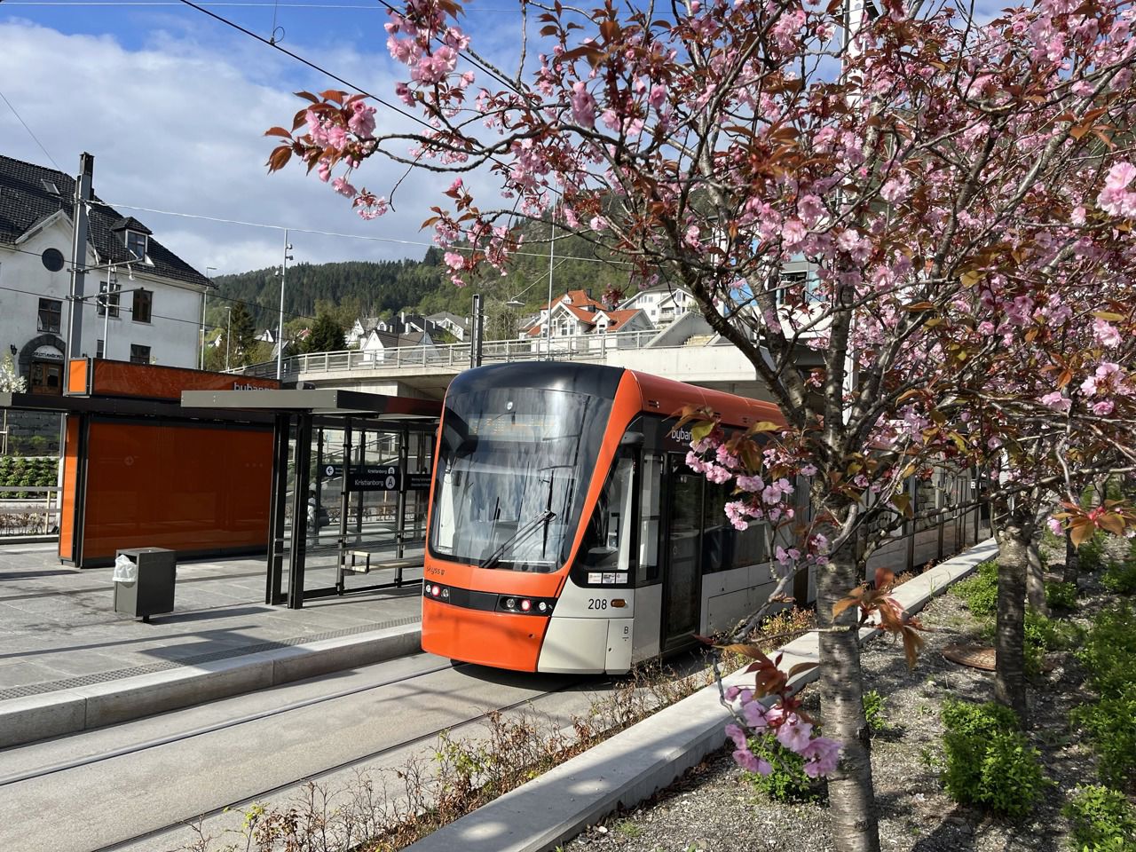 Biletet syner ein bybane på haldeplasen på Kristianborg med fargerike rosa blomar på japanske kirsebærtre i front.