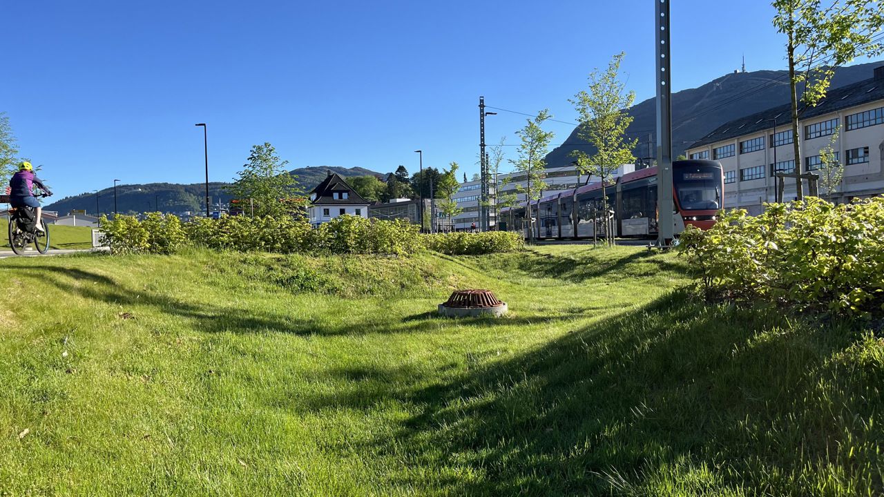 Biletet syner ein bybane som kjører forbi eit av dei nedsenka beda på Mindemyren som skal samle opp regnvatn. Midt i bedet står ein sluk.